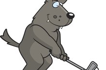 How to Play Lone Wolf Golf
