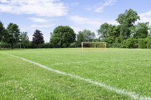 What Is the Inner Box on a Soccer Field?