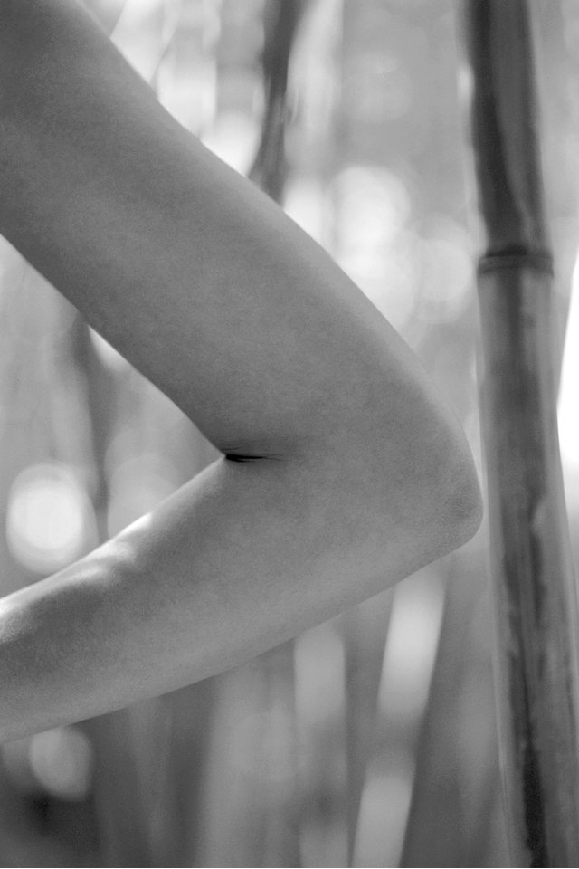 Woman's arm, bent at elbow, bamboo stalks in background