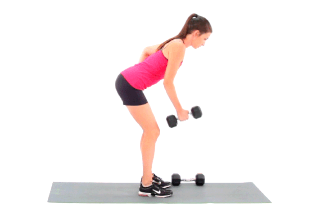 Row of barbells