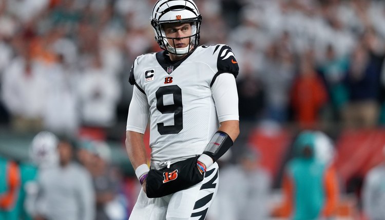 Miami Dolphins v Cincinnati Bengals