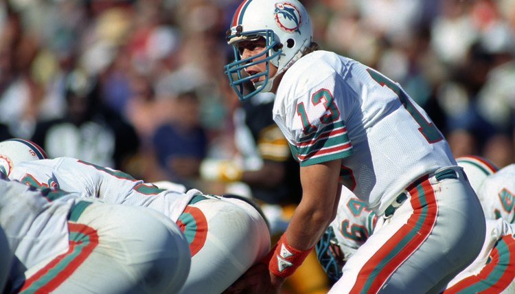 Pittsburgh Steelers v Miami Dolphins