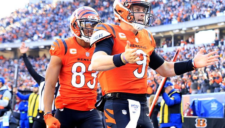Pittsburgh Steelers v Cincinnati Bengals