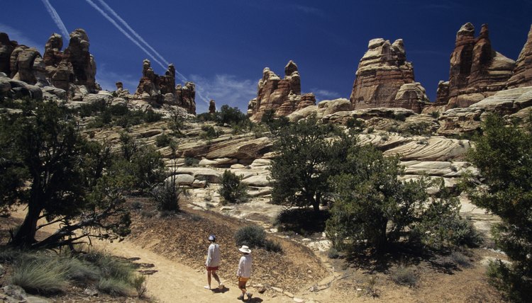 Two people hiking on trail in rocky desert area, elevated view