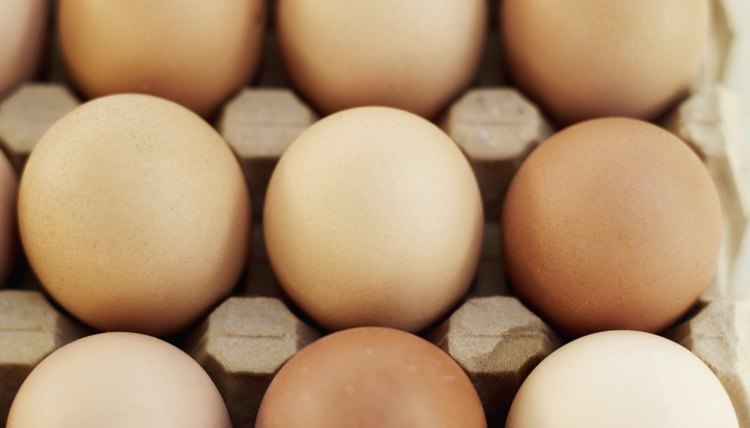 Elevated view of farm eggs