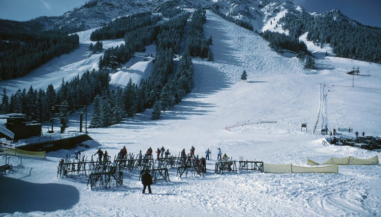 People skiing
