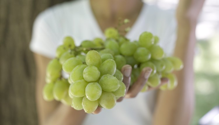 Woman holding grapes