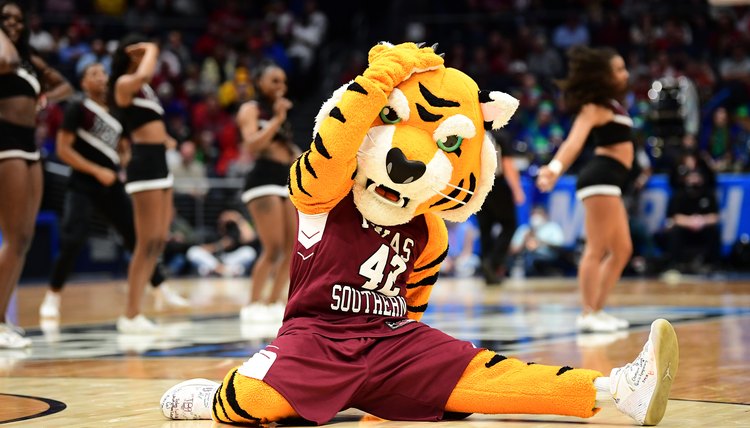 Texas A&M-CC v Texas Southern