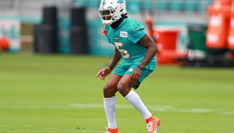 Miami Dolphins Training Camp